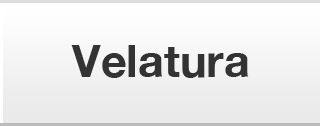 Velatura